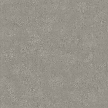 Shades Quartzite - 5054
