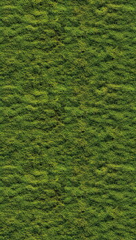 The Wall 3 - 39839-1