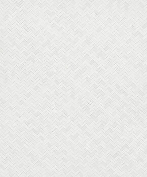 Trend - 7042