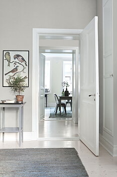 Grey Feather - 7541