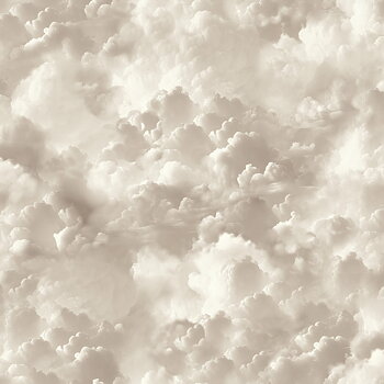 Vanilla Skies - 100189AH