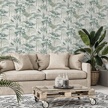 King Palm - 922908