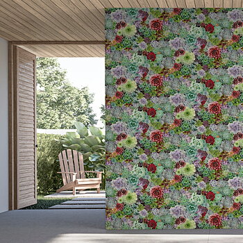 Succulent Living Wall - 259402