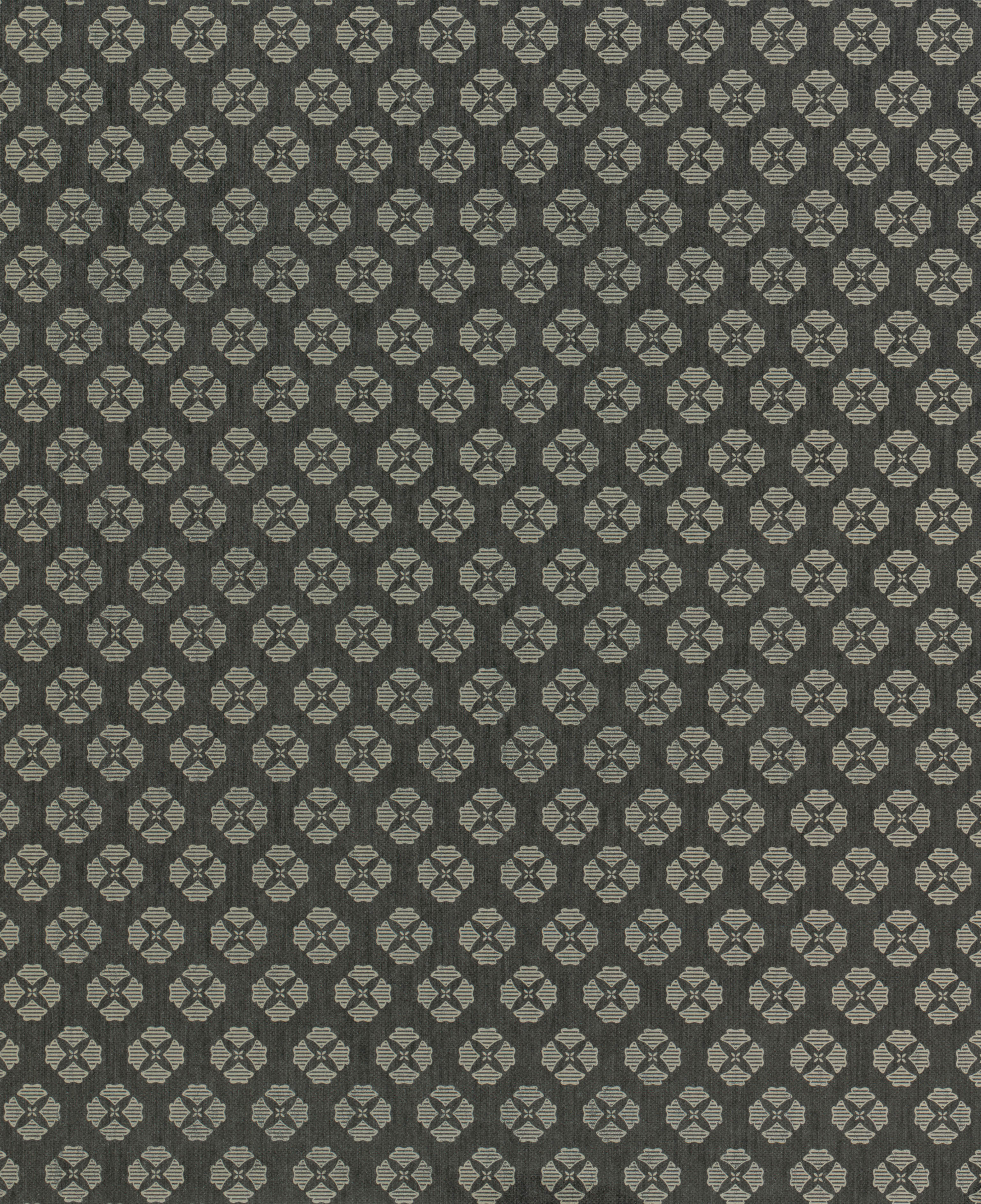 Serendipia - 5700095