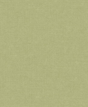 Alice - A1007