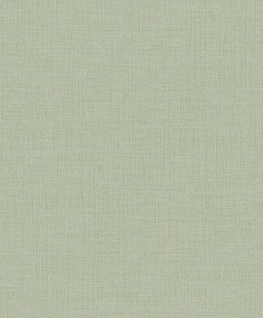 Alice - A1013