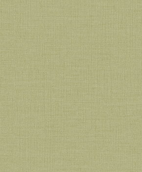 Alice - A1014