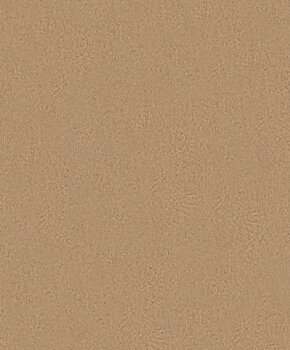 Warm Copper - 2735542