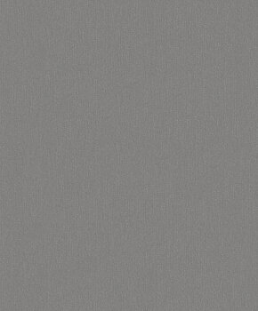 Textured Anthracite - 2781861