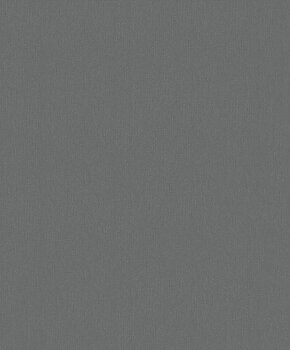 Textured Anthracite - 2781862