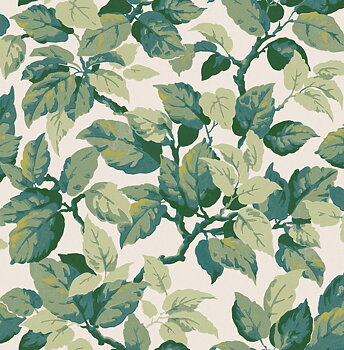 Canopy - M1804