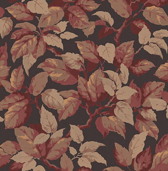 Canopy - M1805