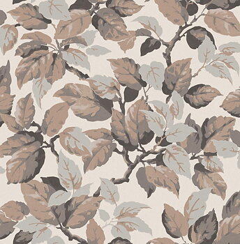 Canopy - M1806