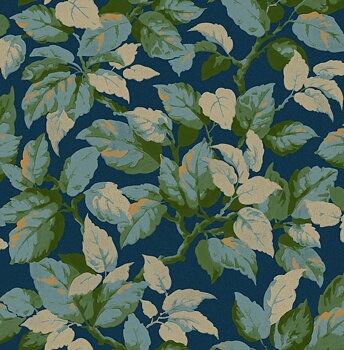 Canopy - M1807