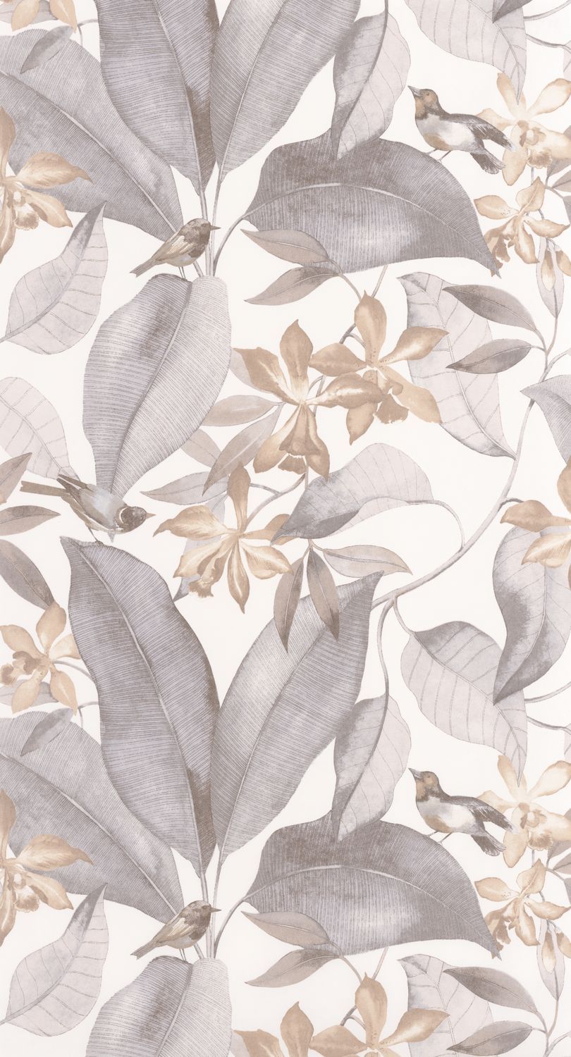 Delicacy - Dely85389242