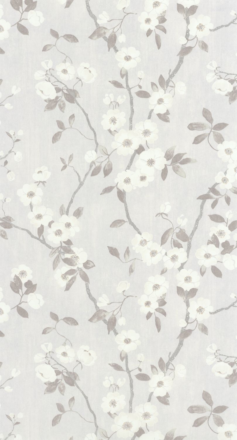 Delicacy - Dely85399171