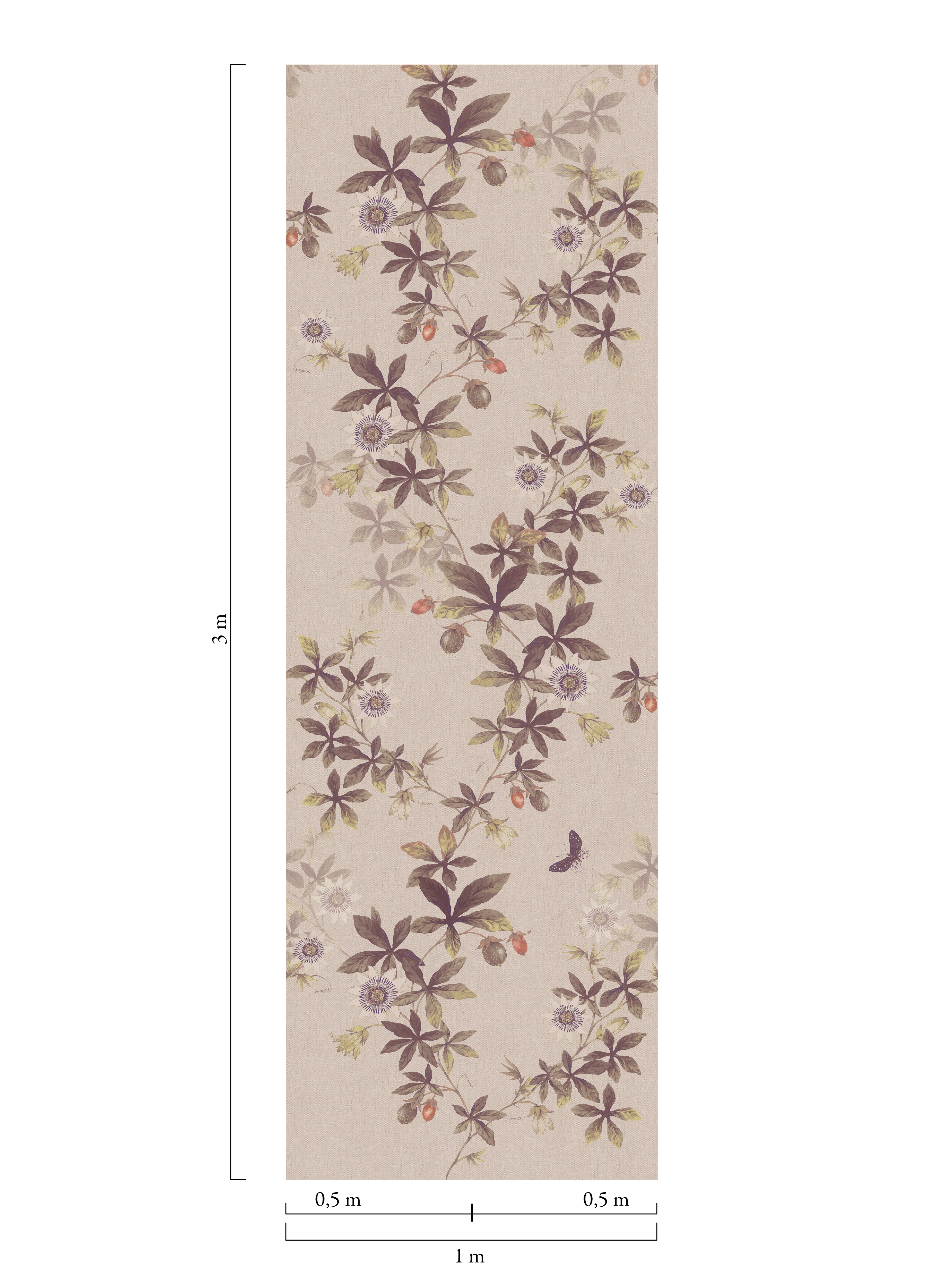 Passiflora - 539-01 - 3