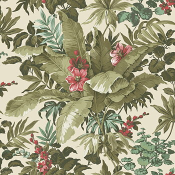 Kaia, Canopy - K5802