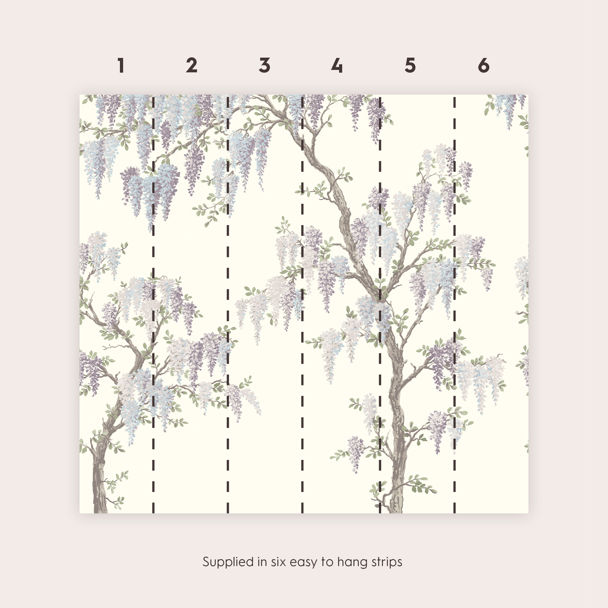 Laura Ashley - 113412 - 3