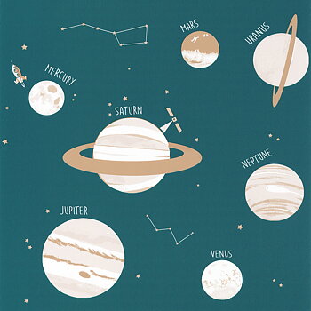Our Planet - OUP101906011