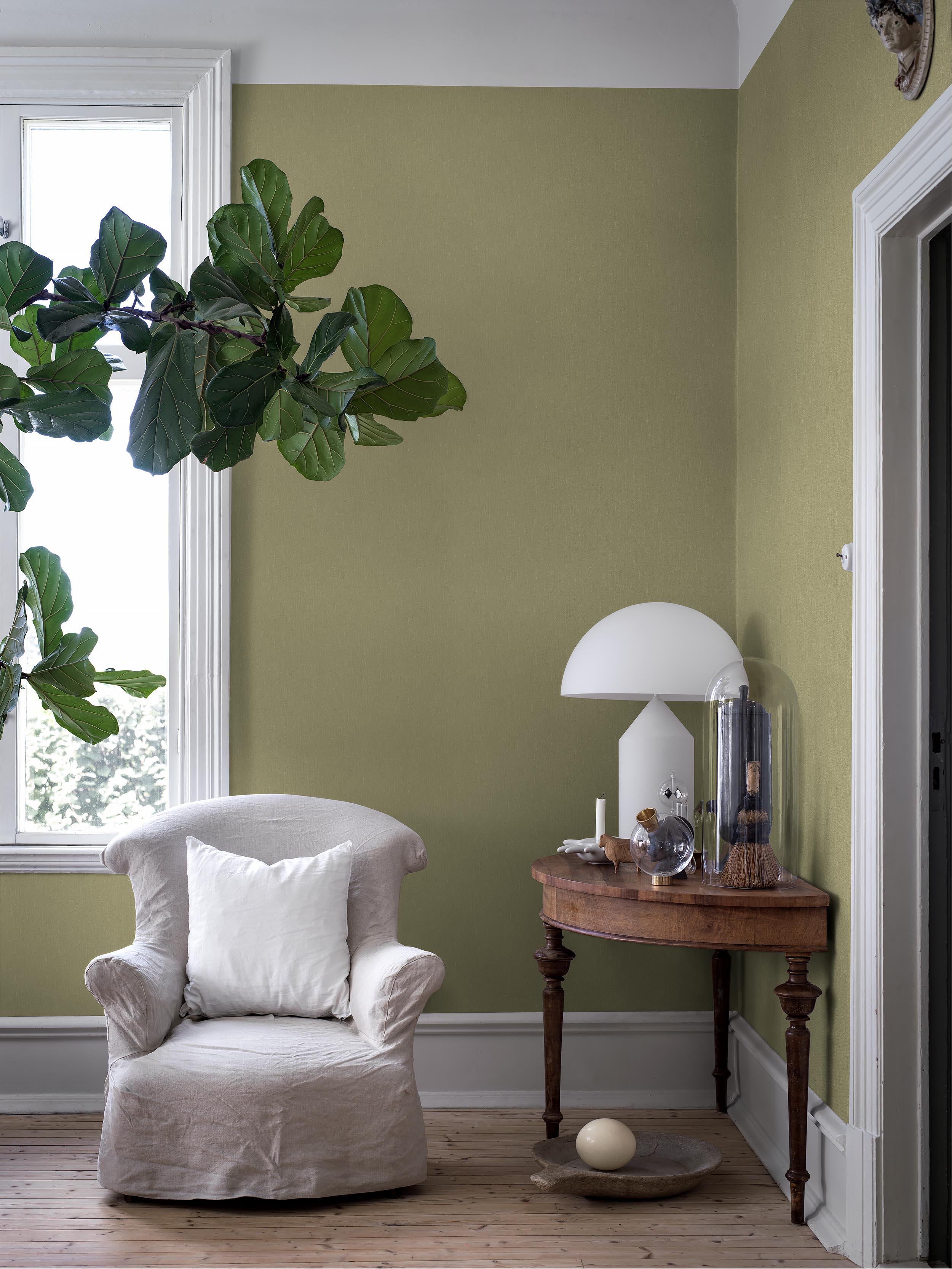 Fresh Olive - 4348
