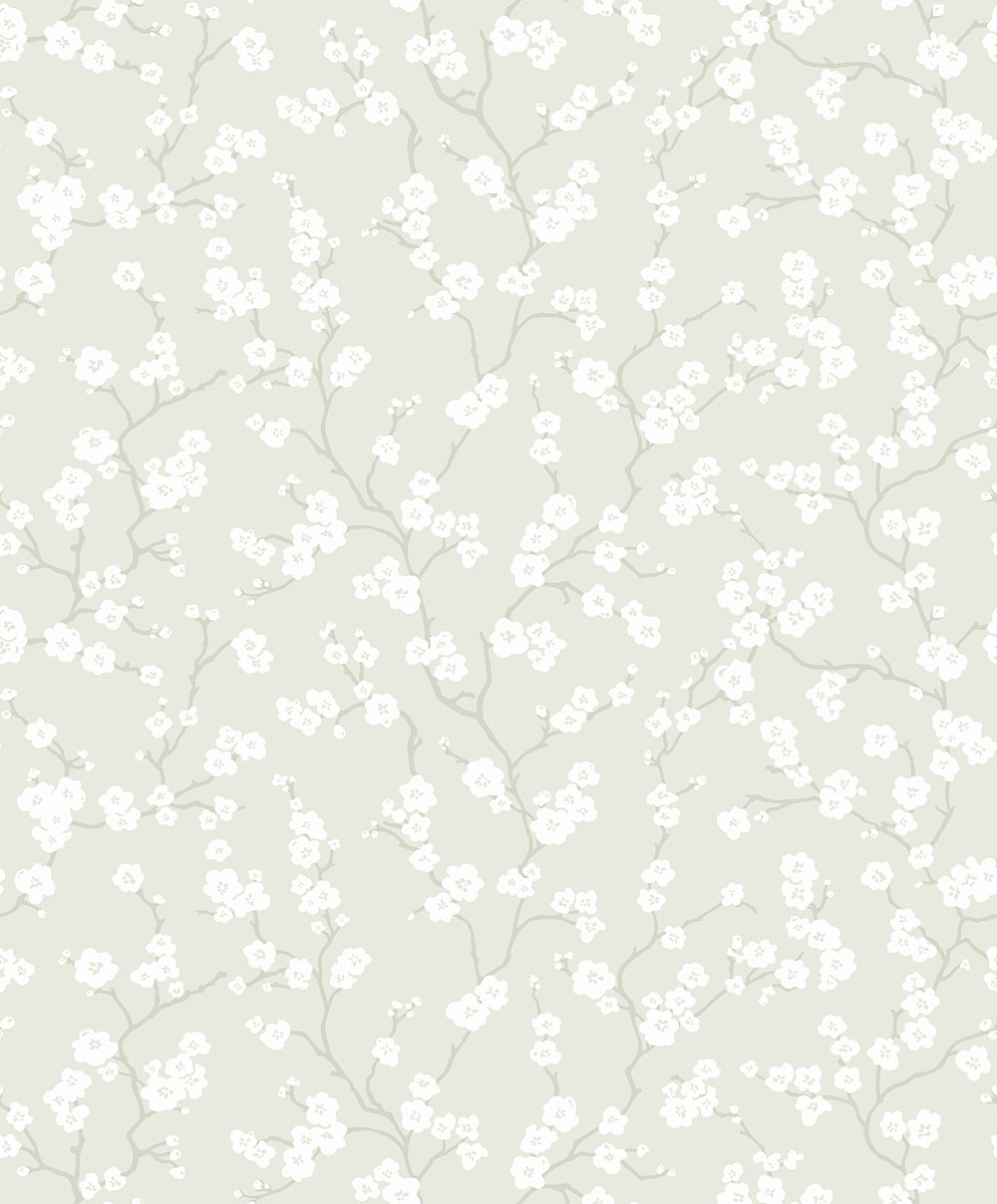 Fiona Home Paper - 100604