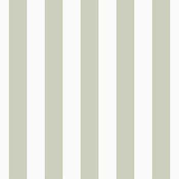 Fiona Home Paper - 100703