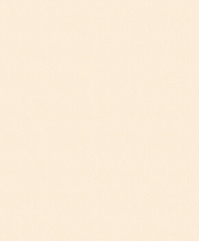 Fiona Home Paper - 100907