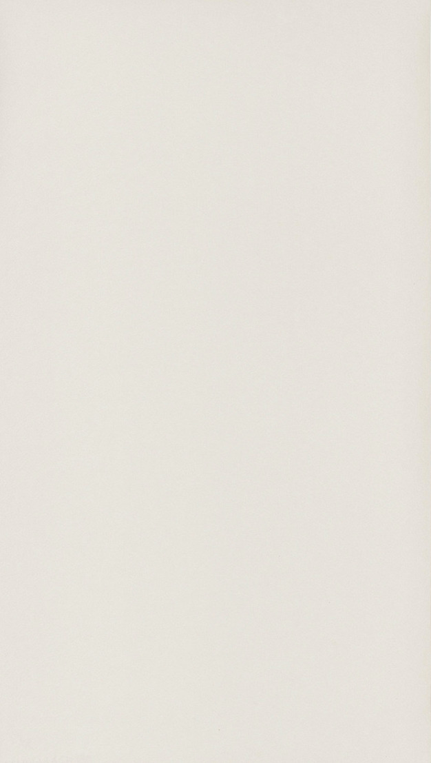 Beauty Full Color - BFCO11461114