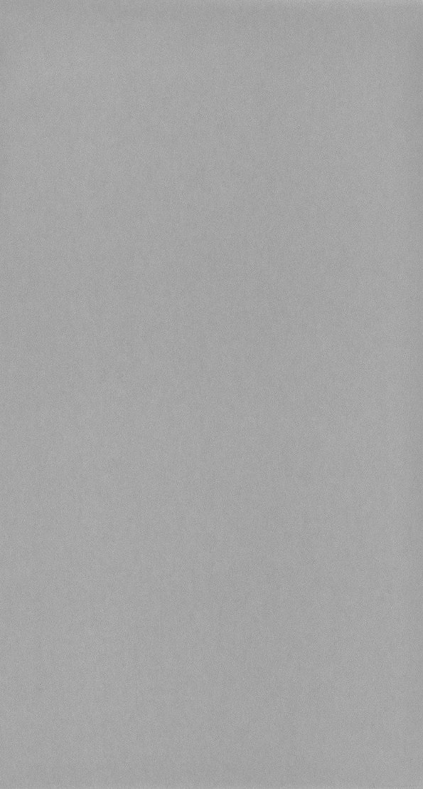 Beauty Full Color - BFCO13219424