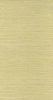 Beauty Full Color - BFCO81357101