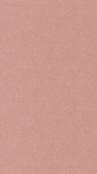 Beauty Full Color - BFCO81913264