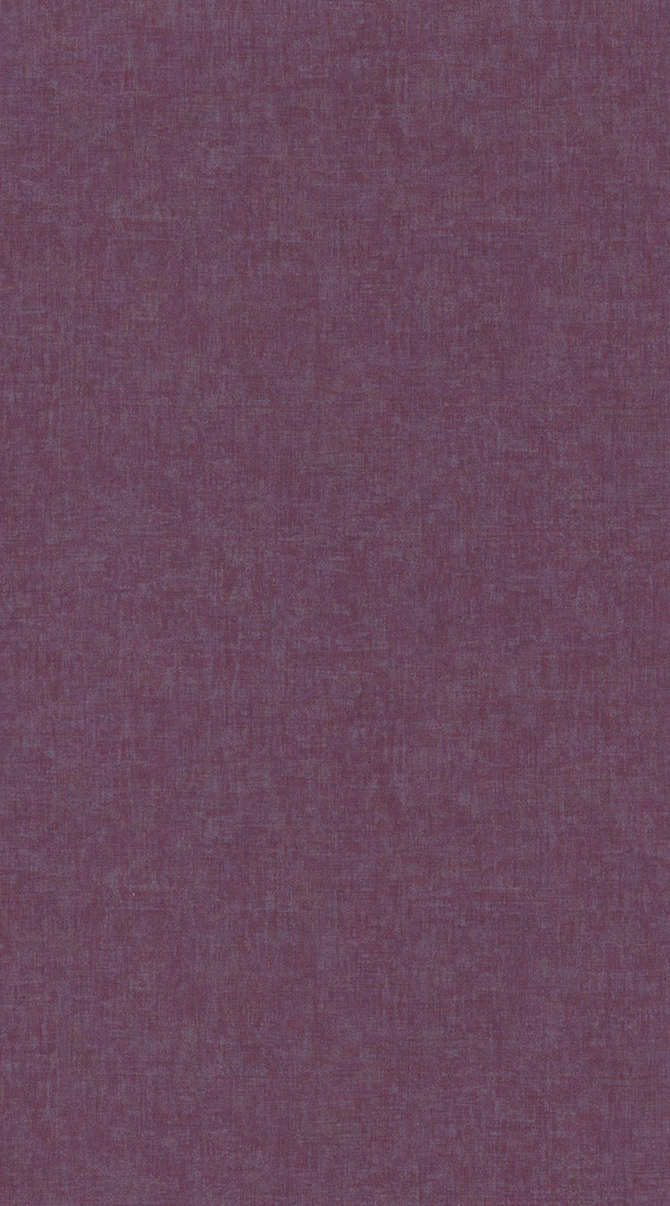 Beauty Full Color - BFCO81918468