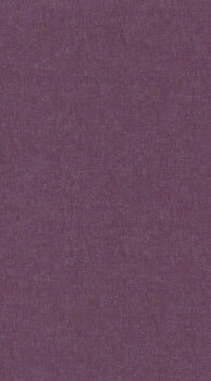 Beauty Full Color - BFCO81918468