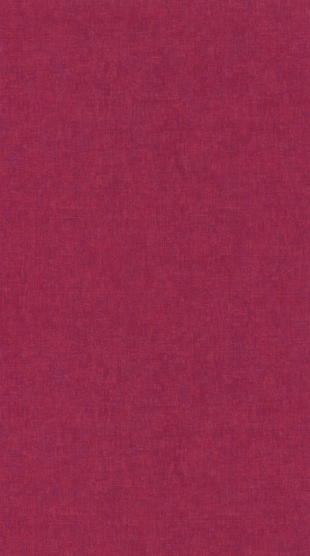 Beauty Full Color - BFCO81918570