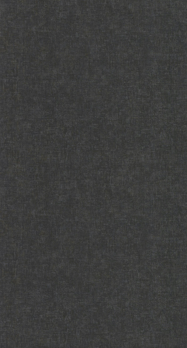 Beauty Full Color - BFCO81919513