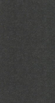 Beauty Full Color - BFCO81919513