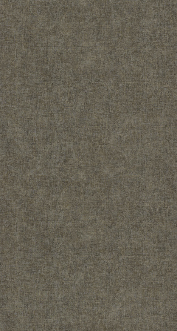 Beauty Full Color - BFCO81921509