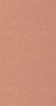 Ceramique - CER105244130