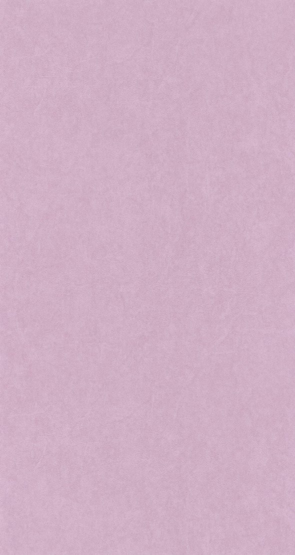 Beauty Full Color - BFCO82385131