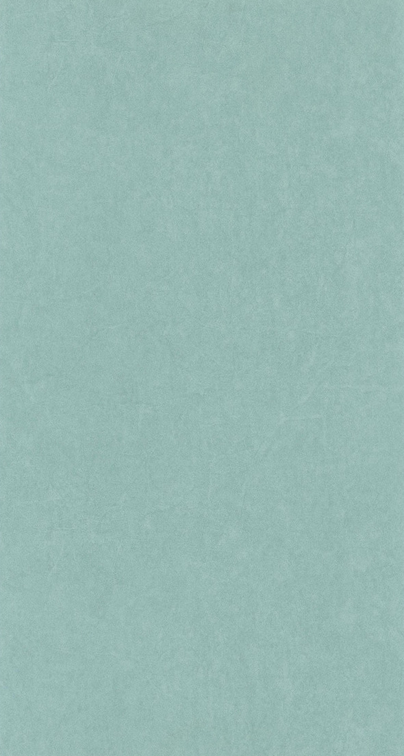 Beauty Full Color - BFCO82386226