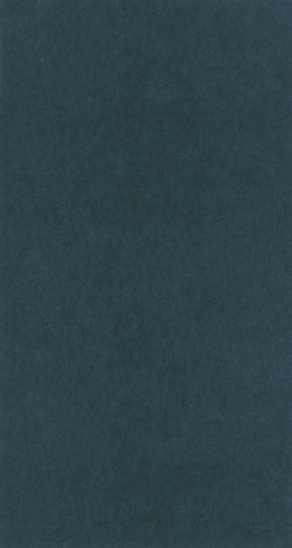 Beauty Full Color - BFCO82387525