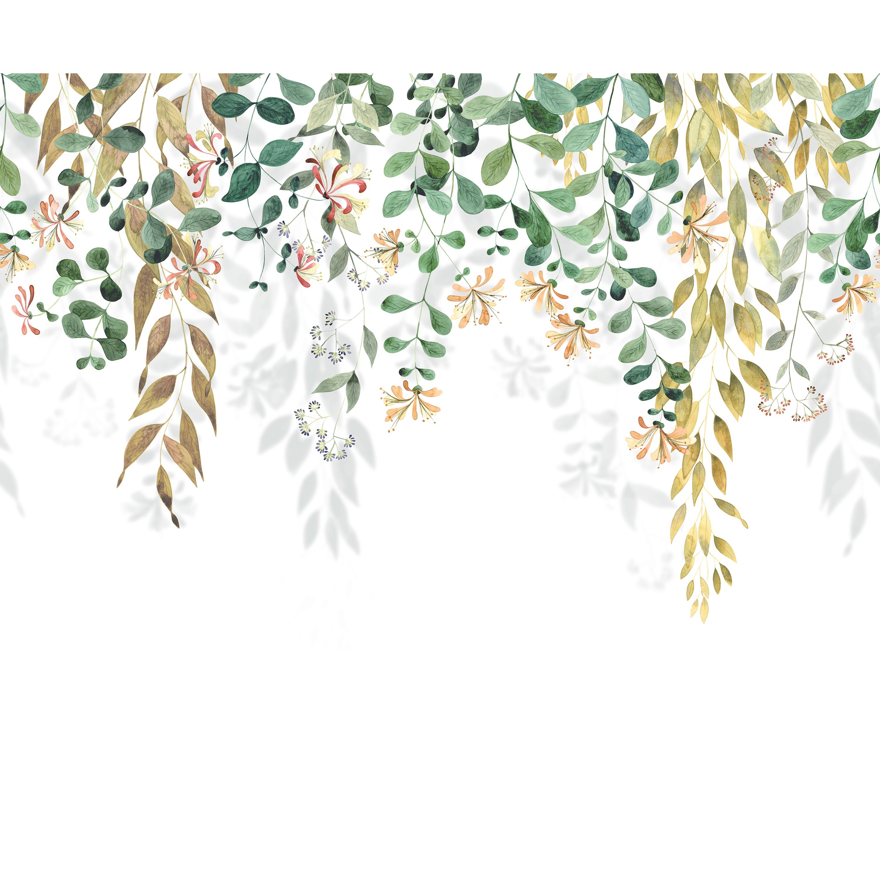 Honeysuckle - SOLI200347807