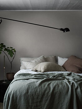 Ash Grey - 4321