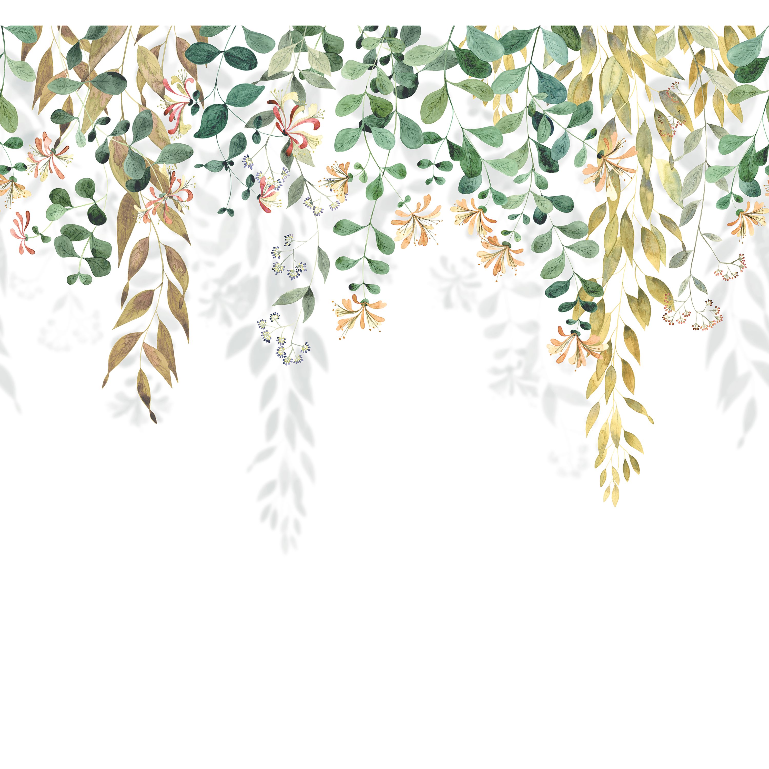 Honeysuckle - SOLI200347808