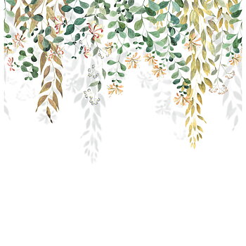 Honeysuckle - SOLI200347809