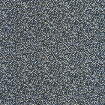 Myosotis - FLOM89236505
