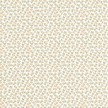 Darwin Tulip - FLOM89251323