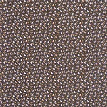 Darwin Tulip - FLOM89259332