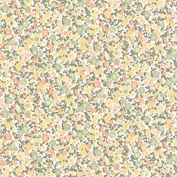 Pansy - FLOM89212226